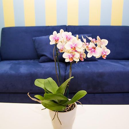 Lemon Flats Sorrento Bed & Breakfast エクステリア 写真